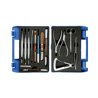 صورة الفئة: 