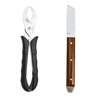 صورة الفئة: 