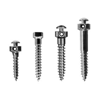 صورة الفئة: 