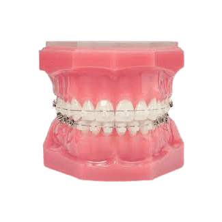 صورة الفئة: 