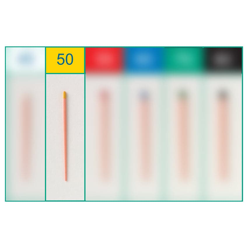 أقماع الكوتا بيرشا شور-إندو 50